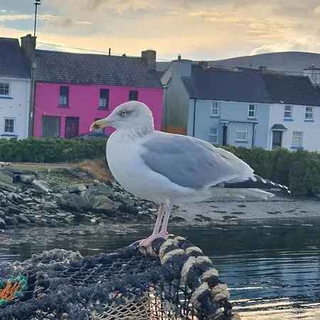 別荘 Shallow Sea-point
