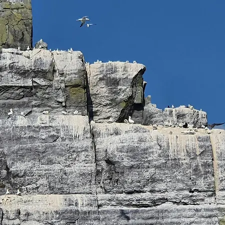 Shallow Sea-point Prázdninový dům