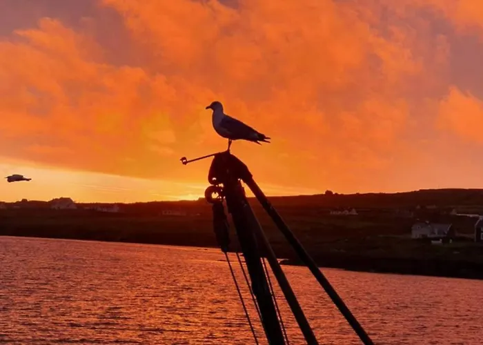 Hébergement de vacances Shallow Sea-point