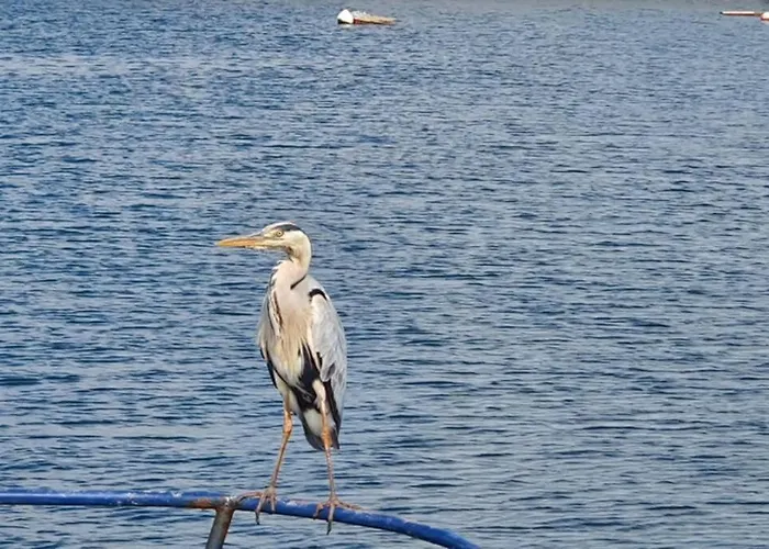 Shallow Sea-point Hébergement de vacances *