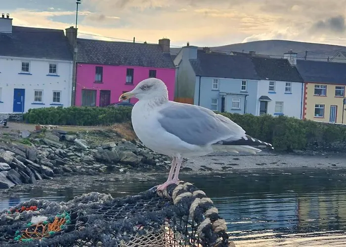 Hébergement de vacances Shallow Sea-point