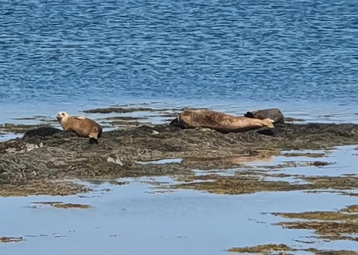 Shallow Sea-point Knights Town