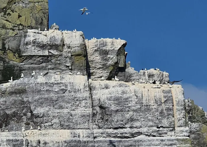 Shallow Sea-point Vakantiehuis